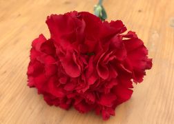 Maifeiern In Jena 2019 0000